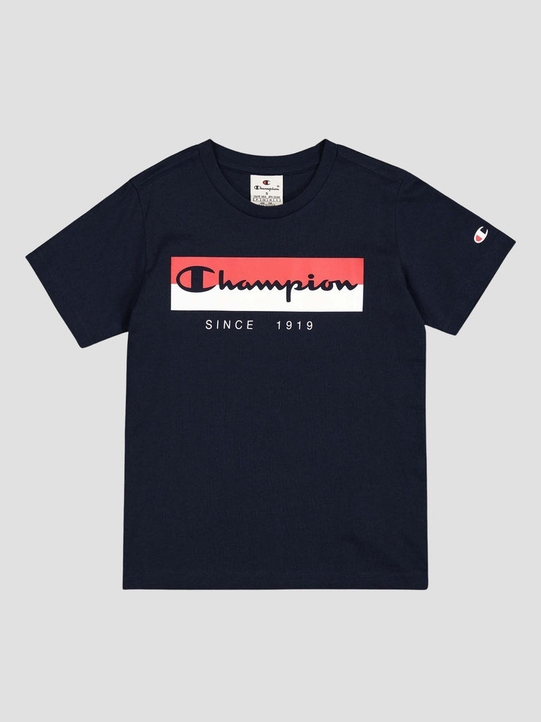 CHAMPION 306842BS501