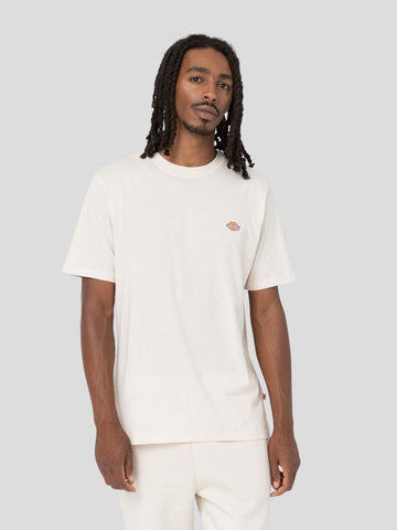 DICKIES 4XDBF901