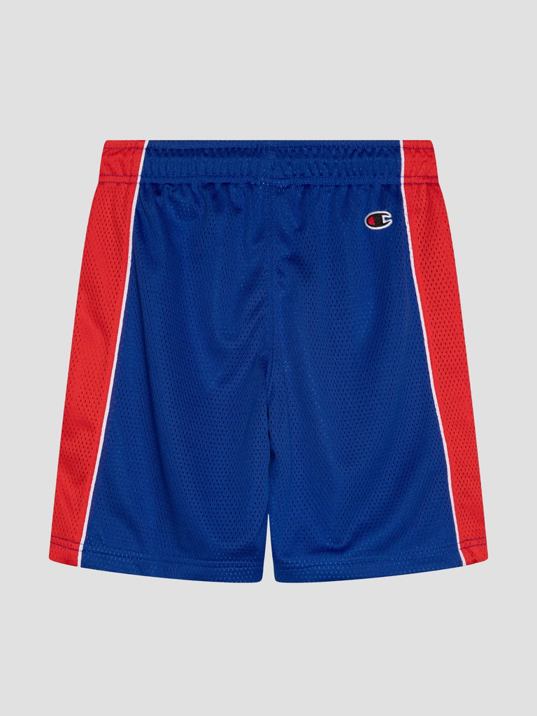 CHAMPION 307025BS008